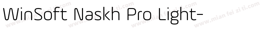 WinSoft Naskh Pro Light字体转换